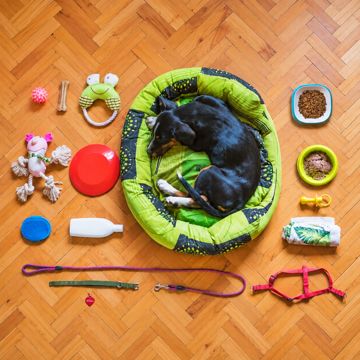 Accessories