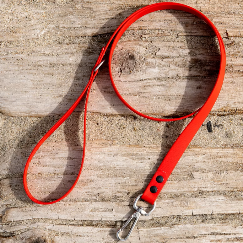 Leashes