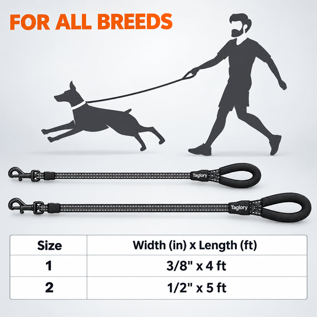 Reflective Dog Leash