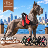 Adjustable Dog Harness