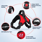 Adjustable Dog Harness