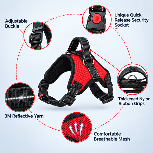 Adjustable Dog Harness