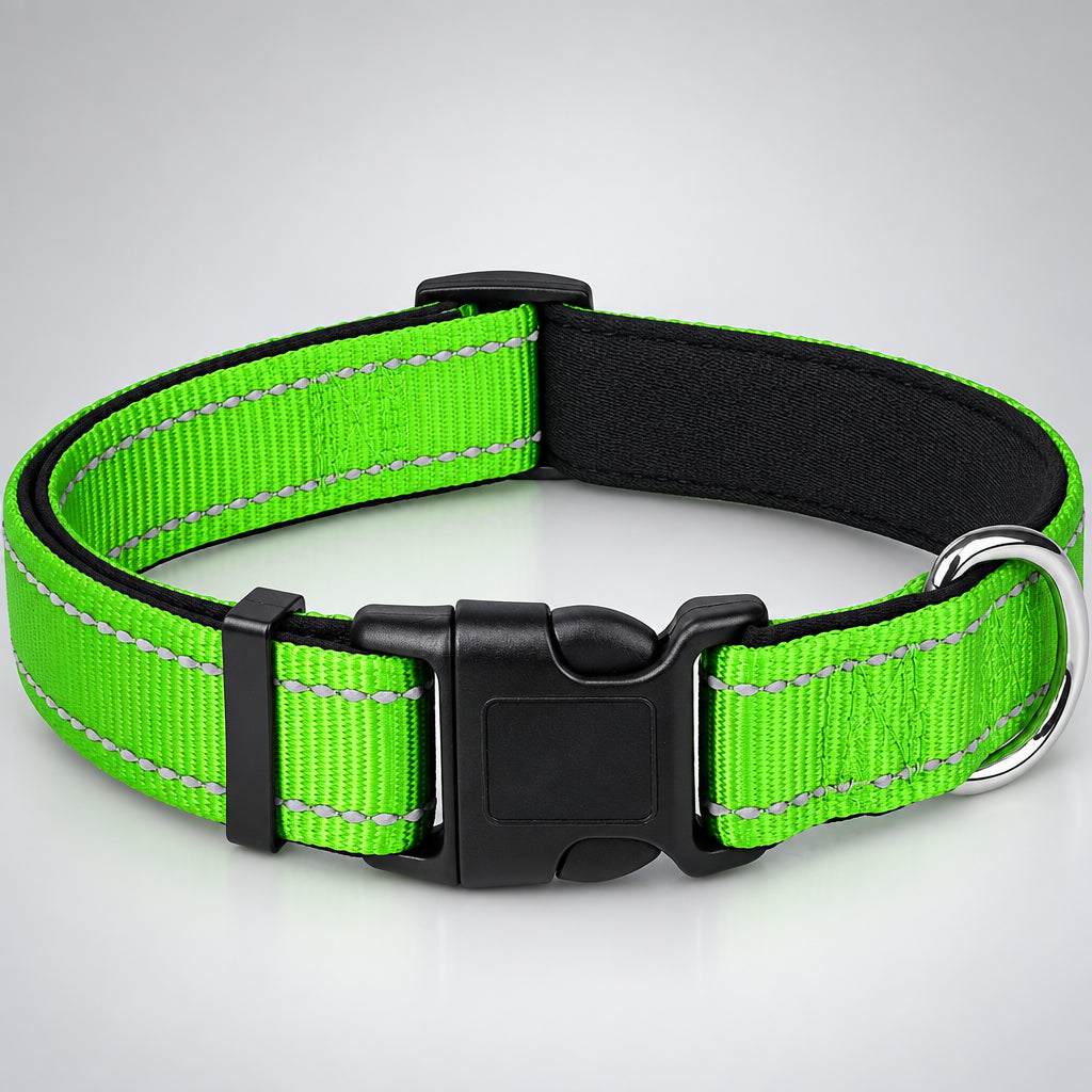 Padded Reflective Dog Collar