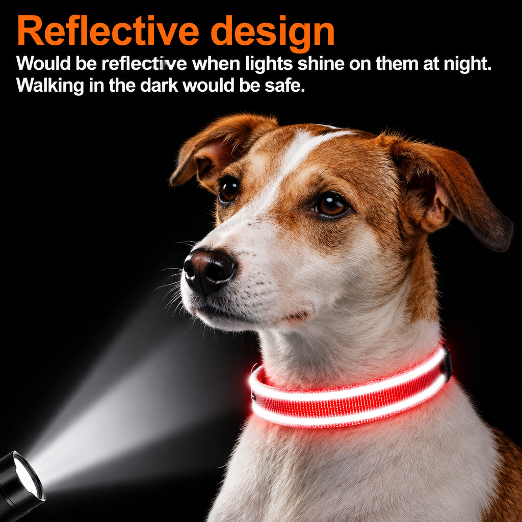 Padded Reflective Dog Collar